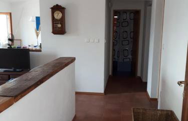 Apartmani Šikić Metajna - Foto 41
