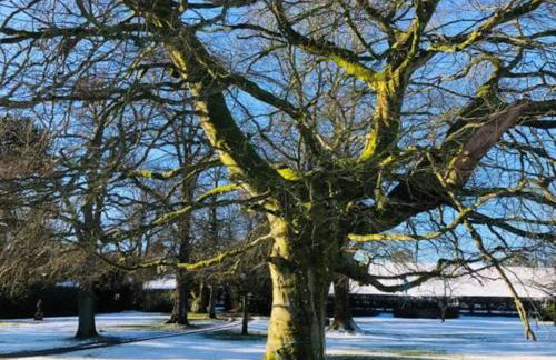 Unique Orchard Lodge for couples with hot tub - Photo 41