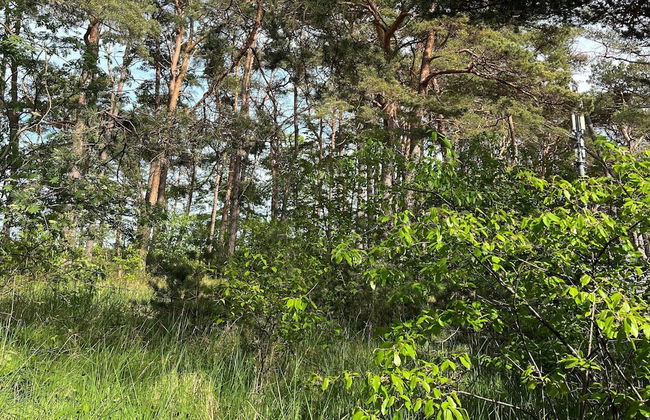 Holiday Home With Direct Access to the Beach - Foto 26