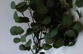 Fabulous family home in Newbury - Foto 15