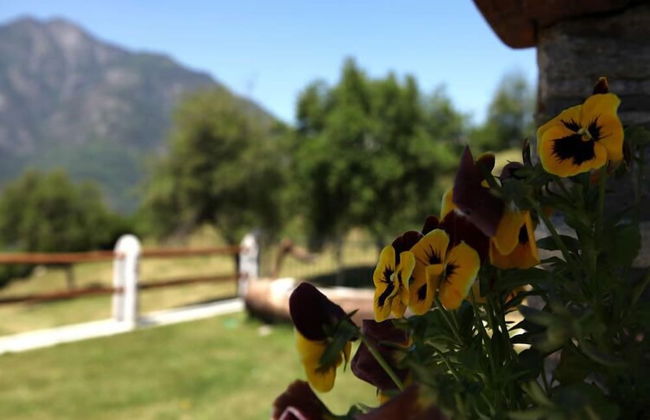 La Majón dé Fohtèn - Foto 32