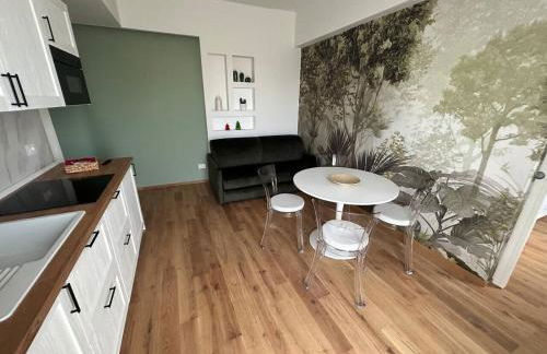 Linate Dream Inn - Foto 1