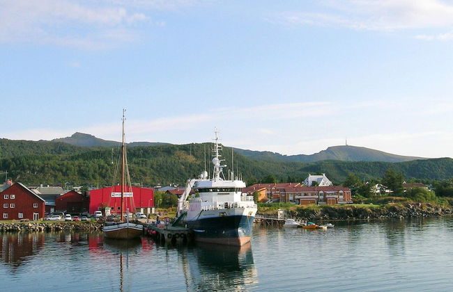 5 Person Holiday Home in Melbu-by Traum - Foto 21