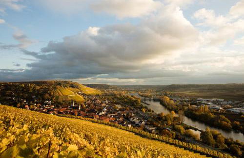 Wein und Stein - Foto 25