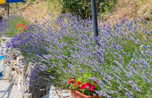 Agriturismo Monte Acuto - Foto 36