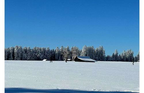 Black Forest House Zwink - Foto 39