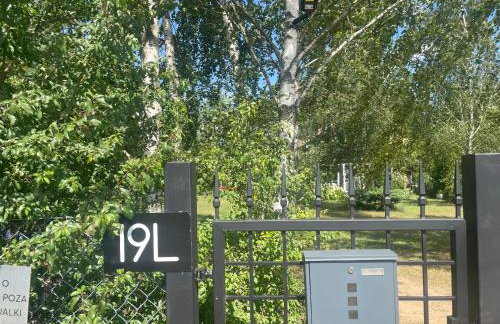 Między Brzozami - Foto 51