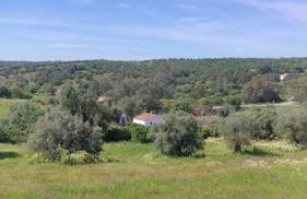 Nova Quinta Moderna TORRAMO em Oliveiras, Campo de Laranjas, na Nacional 2, Alentejo 13750 m2 - Foto 80