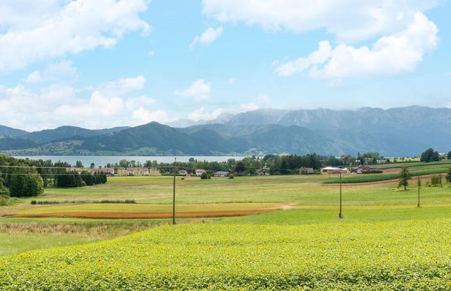 Holiday Home Attersee Near Hiking Trails - Foto 34