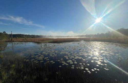 Half Moon Lake property - Foto 17