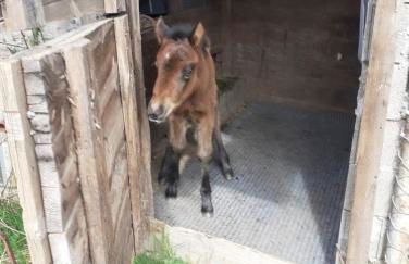 La Casa Di Edy - Foto 21