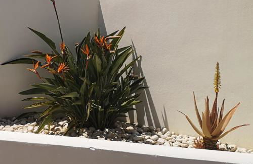 CASA BLANCA Apartments SAN JOSE - Foto 28