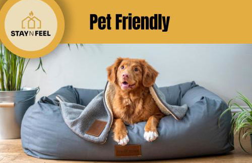 StaynFeel 01 - Foto 24