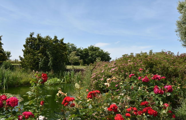 Ferienwohnung in Bastorf for 3 Personen - Foto 12