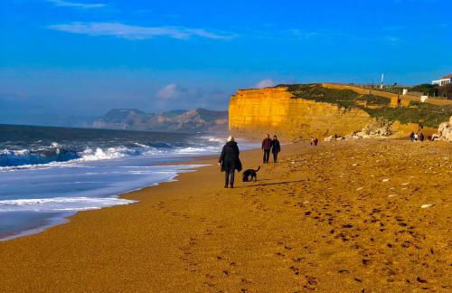 Little Glebe - Foto 29