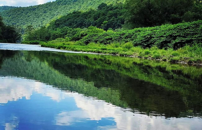 Catskill Retreat - Foto 39