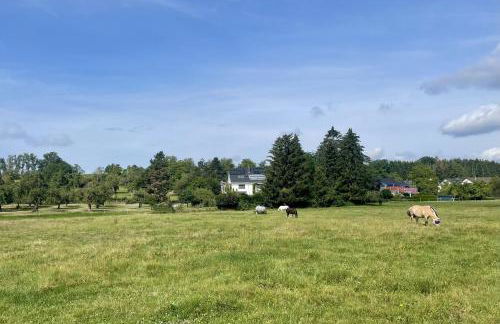 Studio im Grünen und Bodenseenähe - Foto 18