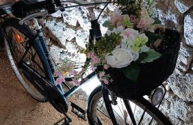 Meublé de tourisme Petit Chail Saint Savinien - Foto 52