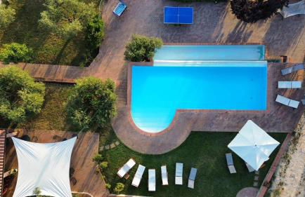 Azienda Agricola Passaro - Photo 5