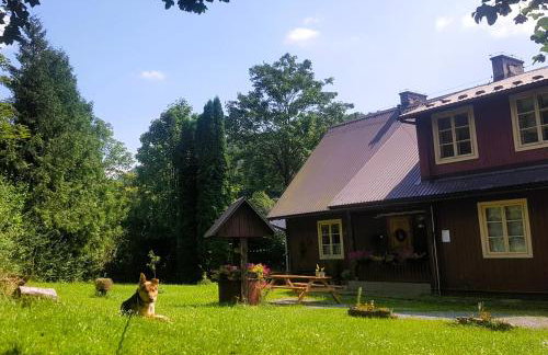 Ostoja Mików - Foto 12