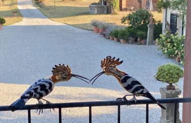 B&B Cà Bianca dell'Abbadessa - Foto 10