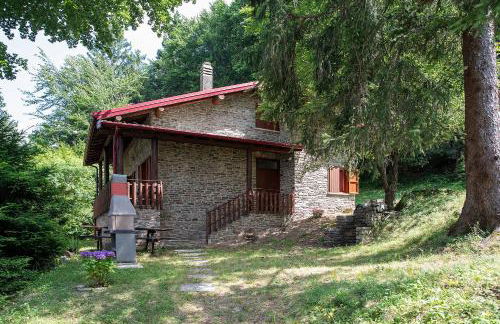 Casa Nel Bosco - Foto 1