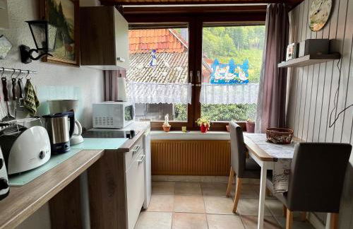 Gemuetliches-kleines-Ferienhaeuschen-Nr-3-im-Harz-fuer-max-3-Personen-inkl-Balkon - Foto 4