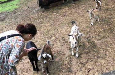 LUXURY!! Hot Tub, Pool Table, River & Petting zoo? - Foto 40