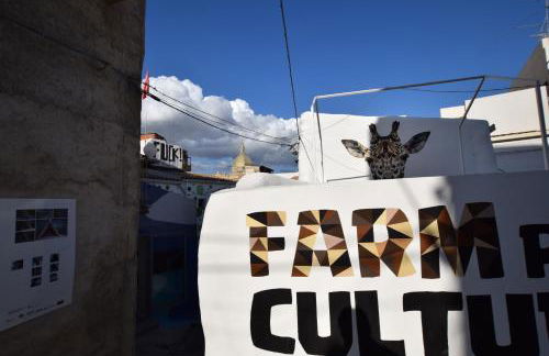 Casa Lupita - Foto 73