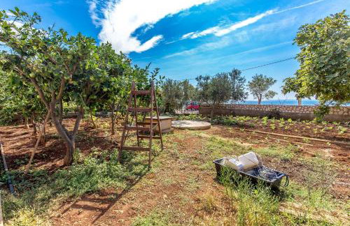 Apartments Ivan Sea View in Peaceful Lun - Photo 14