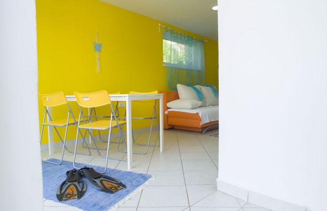 Victorious VIScovery Blue - Foto 17