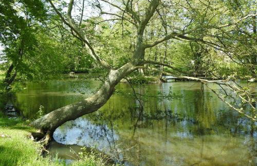 Maison de caractère à Gy avec parking et Wifi - FR-1-583-448 - Foto 34