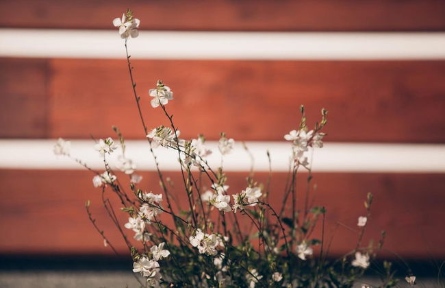 Lazne Libverda Llp015 - Photo 7