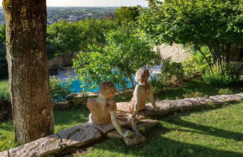 La Terre d'Or - Foto 50