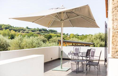 Gallo Fino - Foto 61