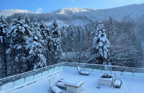 Apartament Kurort Kozubnik - Taras nad Potokiem - Foto 20