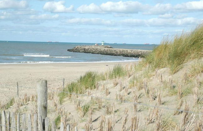 Stylish Harborfront Escape - Photo 29