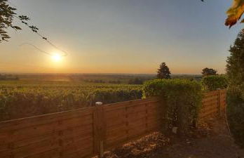 Wohnung in den Weinbergen - Foto 1