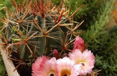 Casa romantica in un borgo antico in Sabina - Foto 47