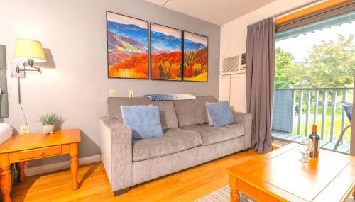 Ski in, Ski out Studio Smugglers' Notch Resort - Foto 3