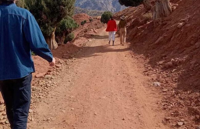 Tazart Lodge - Foto 46