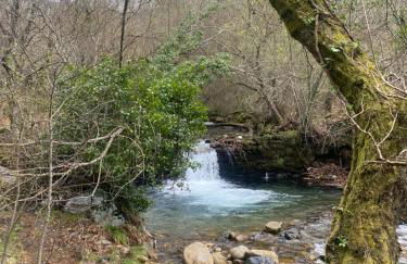 Alto do Vagar - Foto 59