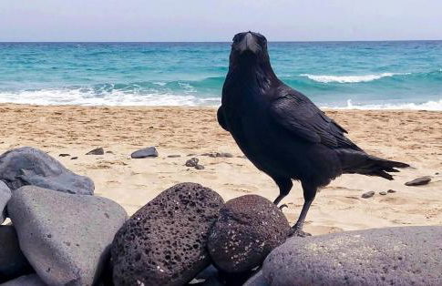 Esquinzo Residenzial - Foto 19