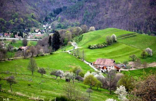 Maison pittoresque à Sainte-Croix-aux-Mines, vue sur la montagne - Foto 37