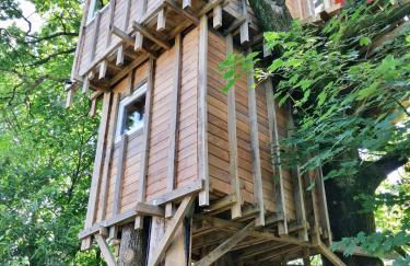 Le nid dans le chêne - Photo 6