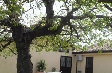 Il Terrazzo sul Sinni - Foto 27