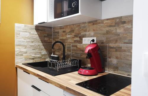 STUDIO HYPER CENTRE SAFARI TOUT ÉQUIPÉ WIFI NETFLIX 2PERS - Foto 23