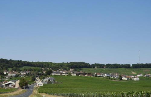 les galipes - Foto 12