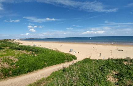 Field View 162a fifth Ave - Foto 42