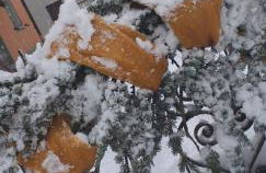 LA CASETTA DELLA NONNA - Photo 51